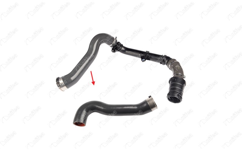 11420 144609994R, 144609047R Turbo Hose excludıng Plastıc Pıpe