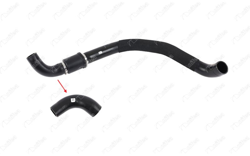 19666 - BK216C646AF, 2036638, BK216C646AB - Turbo Hose excludıng ...