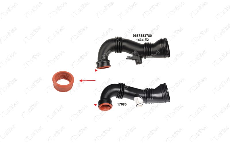 9686311380 TURBO PIPE GASKET Partolium
